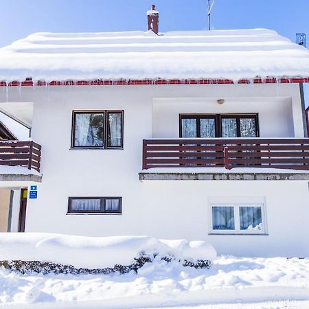 Apartman Japlenski Delnice Esterno foto